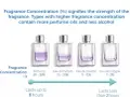 Parfum vs. EdP: Der wahre Unterschied Haltbarkeit, Sillage, Preis