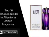 Alien Duftalternativen finden: Die besten Dupes & ähnliche Düfte