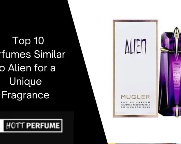Alien Duftalternativen finden: Die besten Dupes & ähnliche Düfte