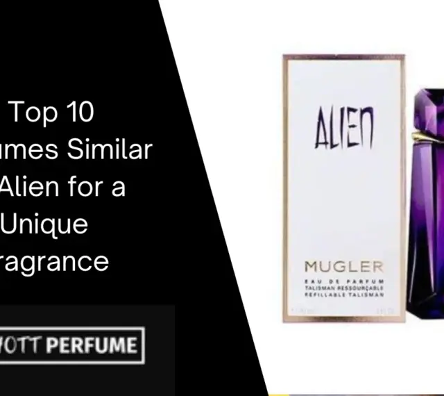 Alien Duftalternativen finden: Die besten Dupes & ähnliche Düfte
